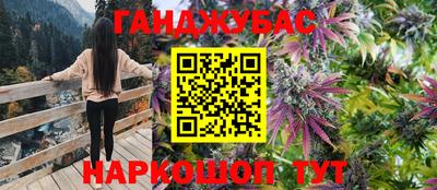 гидра Ачхой-Мартан