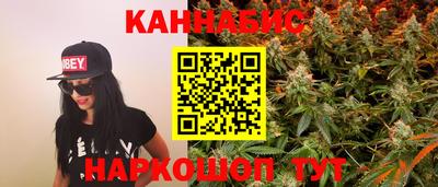 гидра Ачхой-Мартан
