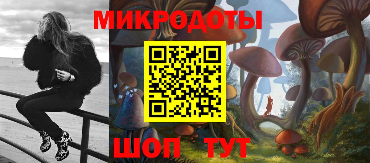 Галлюциногенные грибы Psilocybe Людиново